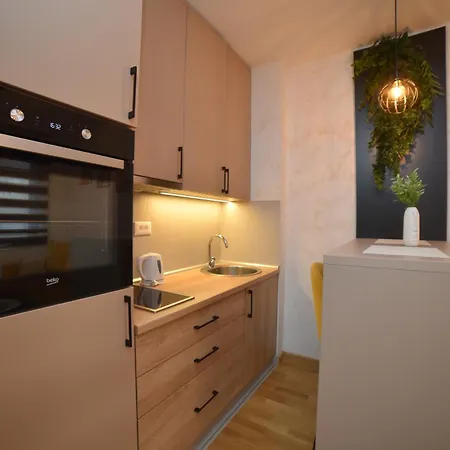 Istra 3 - Titova Appartement