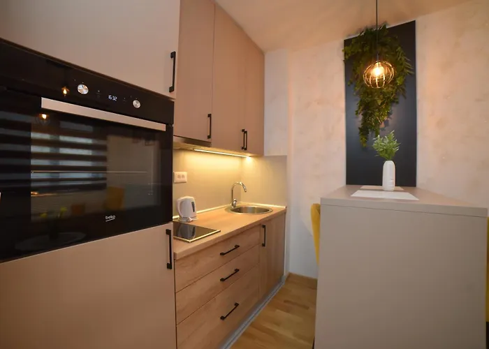 Istra 3 - Titova アパート